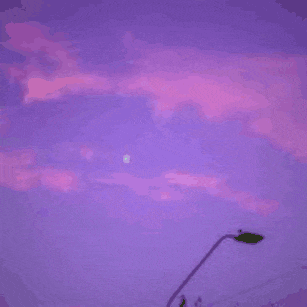 a sign that says nisiro 's chill house on a purple background