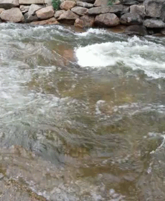 Stream River GIF - Stream River GIFs