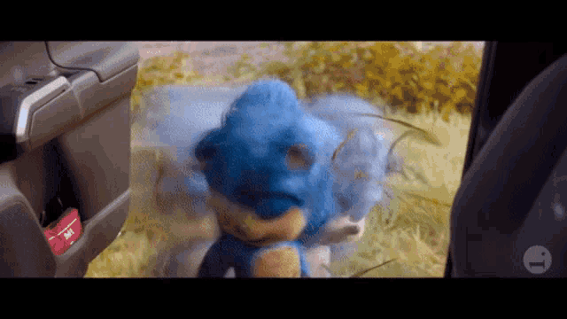 a blue stuffed animal is standing in the grass in a car .