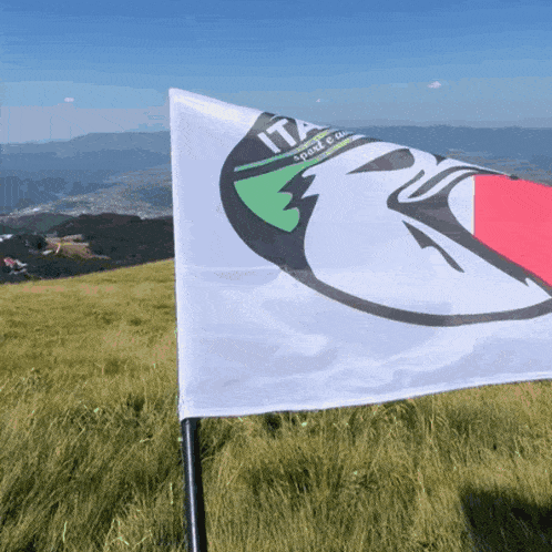 a flag that says ita on it is flying in a field