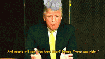 There There GIF - Donaldtrump Trump Cat GIFs