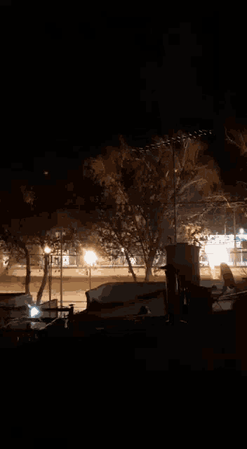 a view of a park at night with a few lights on