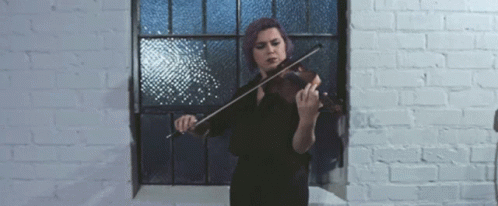 Violins Playing Violin GIF - Violins Playing Violin Violinist GIFs