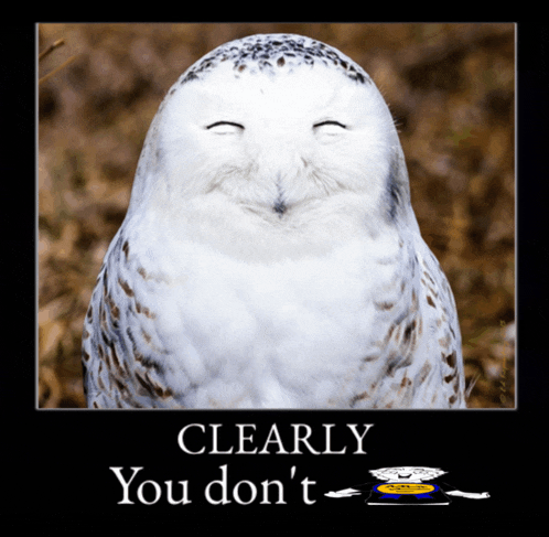 a picture of a snowy owl with the words clearly you don 't