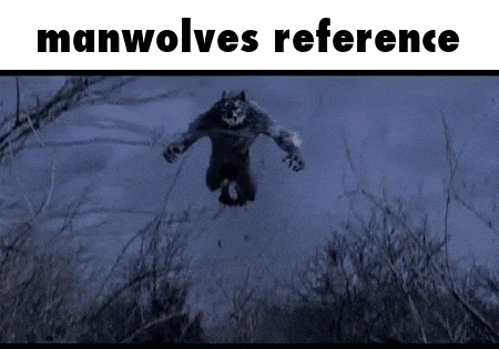 a werewolf is flying through the air in a forest at night .