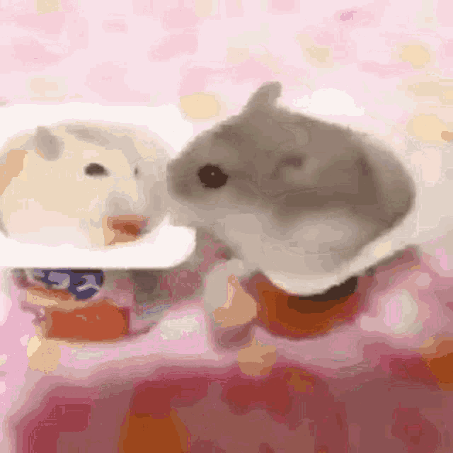Scream Hamsters GIF - Scream Hamsters Tf2 GIFs