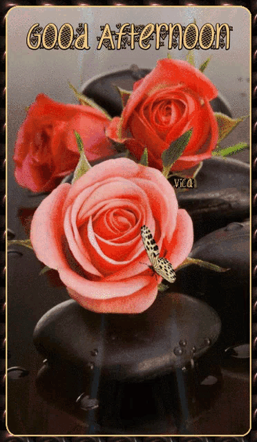 a card that says good afternoon with roses and a butterfly