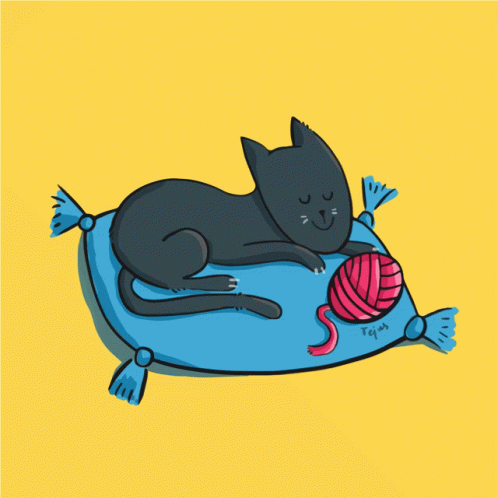 Cat Black Cat GIF - Cat Black Cat Balck Panther GIFs