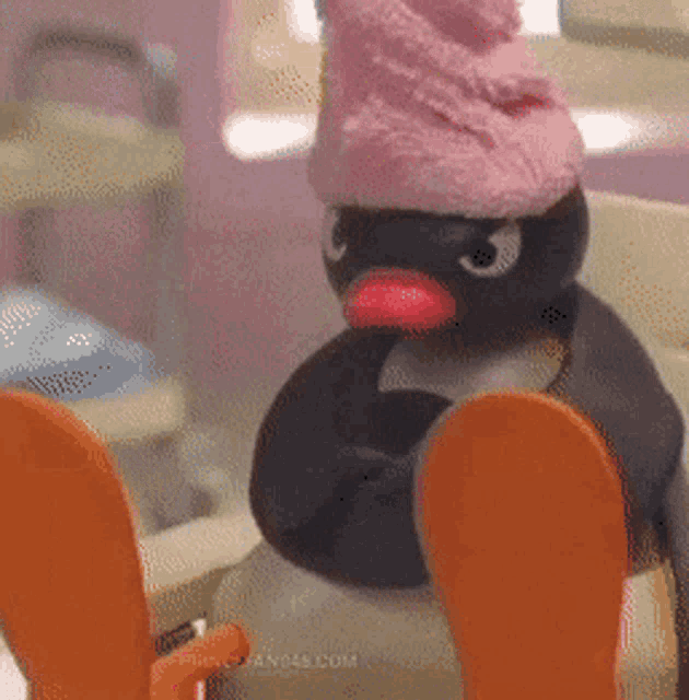 Angry Pingu GIF - Angry Pingu Mad GIFs