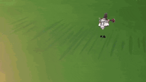 a girl with long white hair and a sword is flying through the air .