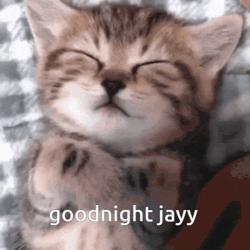 a kitten is sleeping with the words goodnight jayy written below it