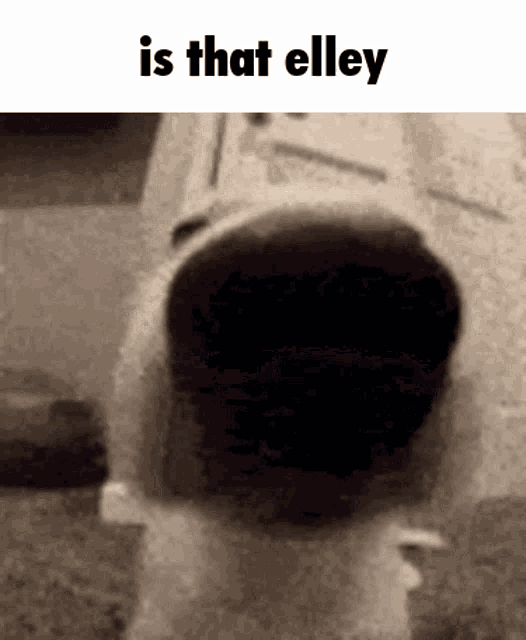 a black and white photo with the words is that alley