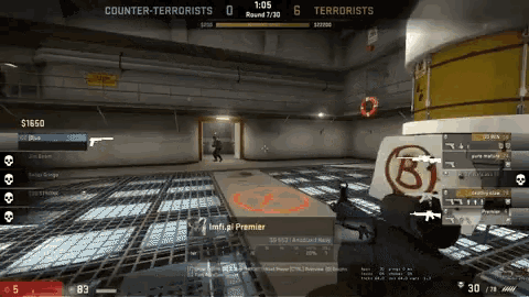 Szynomiak GIF
