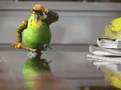 Birds With Arms Battle GIF - Birds With Arms Battle Hero GIFs