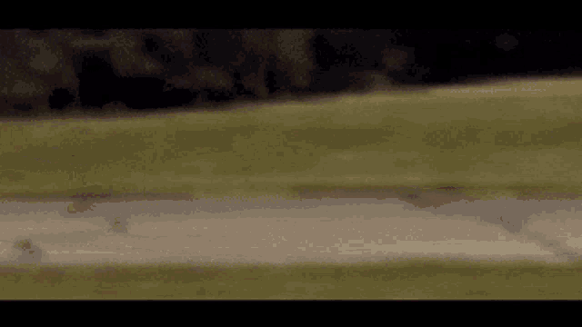 a blurred image of a road going through a grassy field at night .