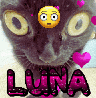 a close up of a cat with a smiley face and the word luna