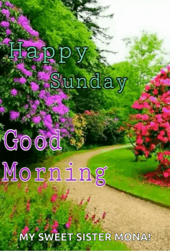 a picture of flowers and trees with the words happy sunday good morning my sweet sister mona