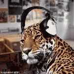Tiger Headphones GIF - Tiger Headphones Rocking Out GIFs