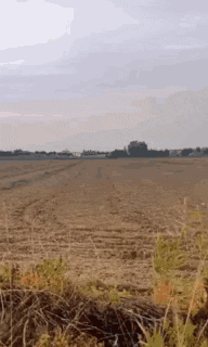 a field with a fence in the foreground and trees in the background .