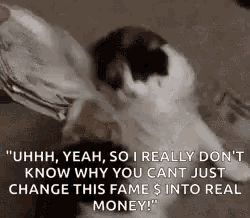 a cat is playing with a stack of papers and a person is holding a plate .