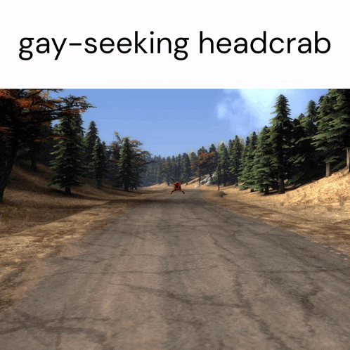 a picture of a road with the words gay-seeking headcrab on the bottom