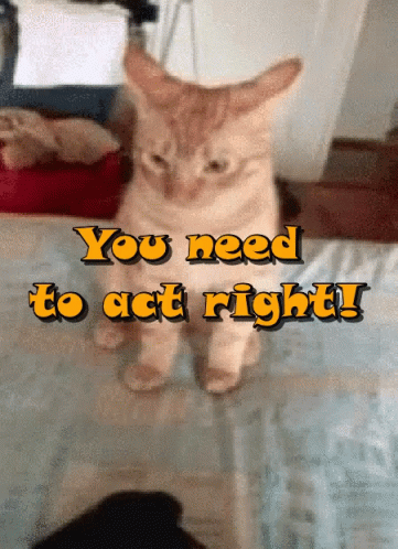 You Need To Act Right Tread Lightly GIF - You Need To Act Right Tread Lightly Nope GIFs