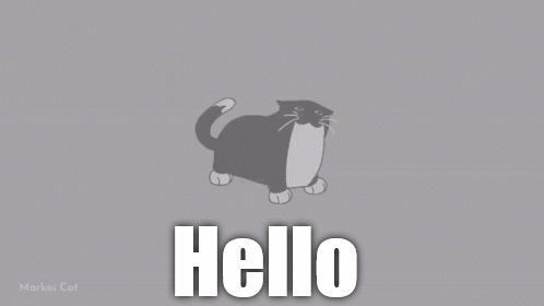 Hello Maxwell GIF - Hello Maxwell Cat GIFs