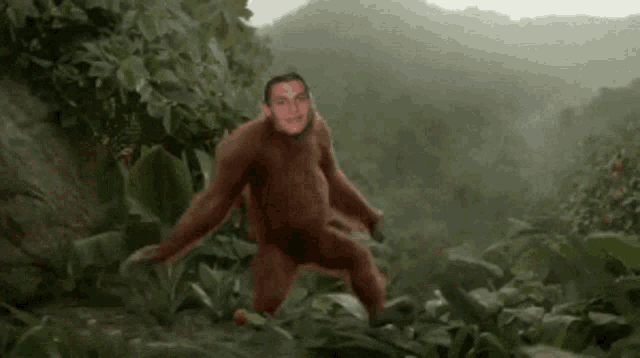 a monkey with a man 's face on it is walking through the jungle