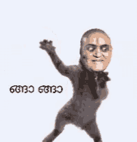a picture of a cat with a man 's face on it and the words gobo gobo above it