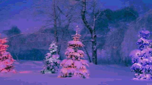 a purple background with trees and flowers and the word merry on it