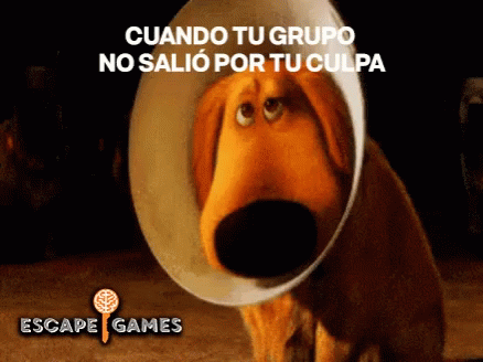 Cone Of Shame Up GIF