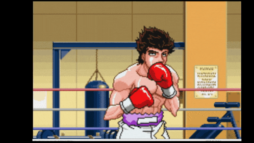 a boxer in a boxing ring with a sign that says www on it