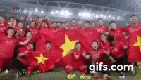 Việt Nam Soccer GIF - Việt Nam Soccer Football GIFs