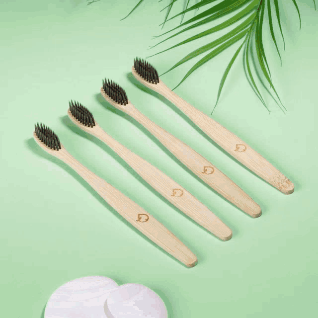 a box with toothbrushes and a night and day konjac sponge in it