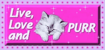 a picture of a cat with the words live love purr