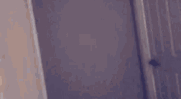 a close up of a purple door with a white wall behind it .