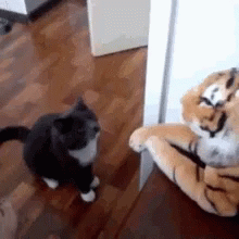 Angry Cat Stuffed Animal GIF - Angry Cat Stuffed Animal Punch GIFs