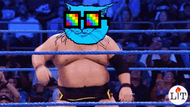a man in a wrestling ring has a cat on his head