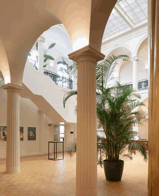 a large potted plant is in the middle of a hallway