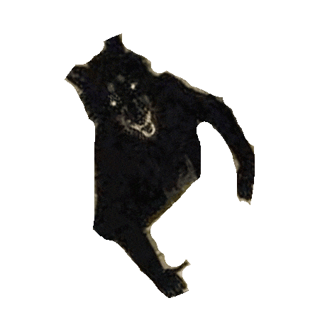 a drawing of a black cat with a white face