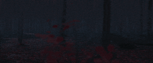 a dark forest with leaves on the ground