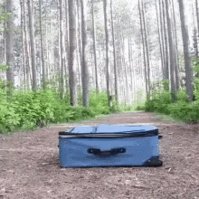 Funny Animals All Packed Take Me With You GIF - Funny Animals All Packed Take Me With You Lets Go GIFs