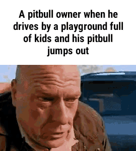 a pitbull owner drives by a playground full of kids and his pitbull jumps out