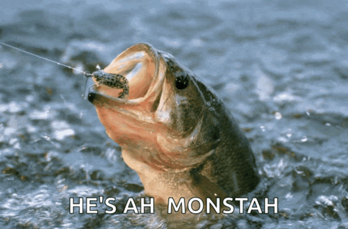 a fish with a hook in its mouth and the words he 's ah monstah