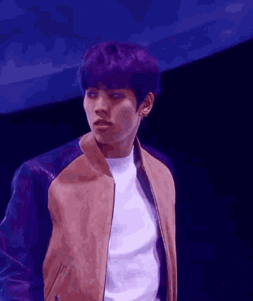 a young man with purple hair is wearing a purple and brown leather jacket and a white shirt .