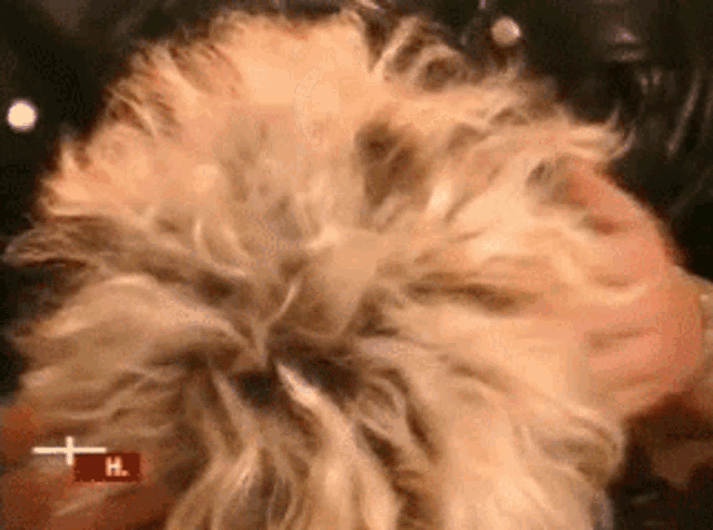 a close up of a person 's hair with a red cross in the corner