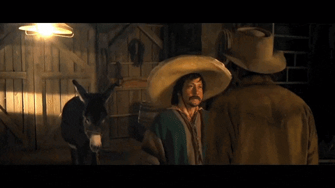 a man wearing a sombrero stands next to a donkey