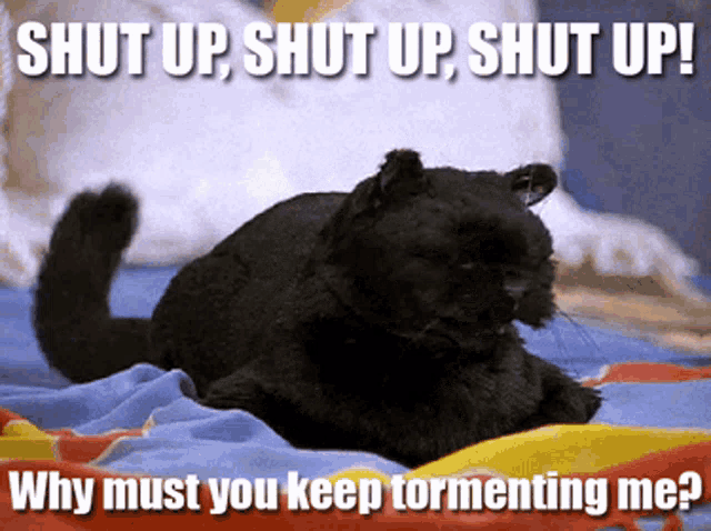 a black cat is laying on a bed with a caption that says shut up shut up shut up why must you keep tormenting me