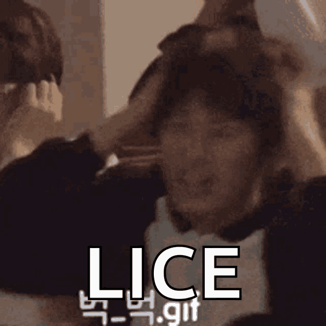a man is scratching his head with his hands and the word lice is on the bottom of the image .