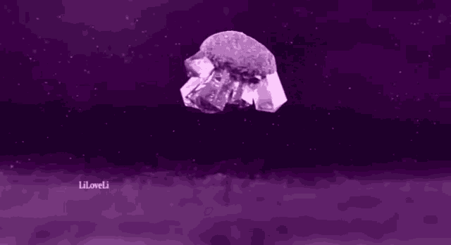 a purple background with a purple object in the middle and the word lillaveli at the bottom